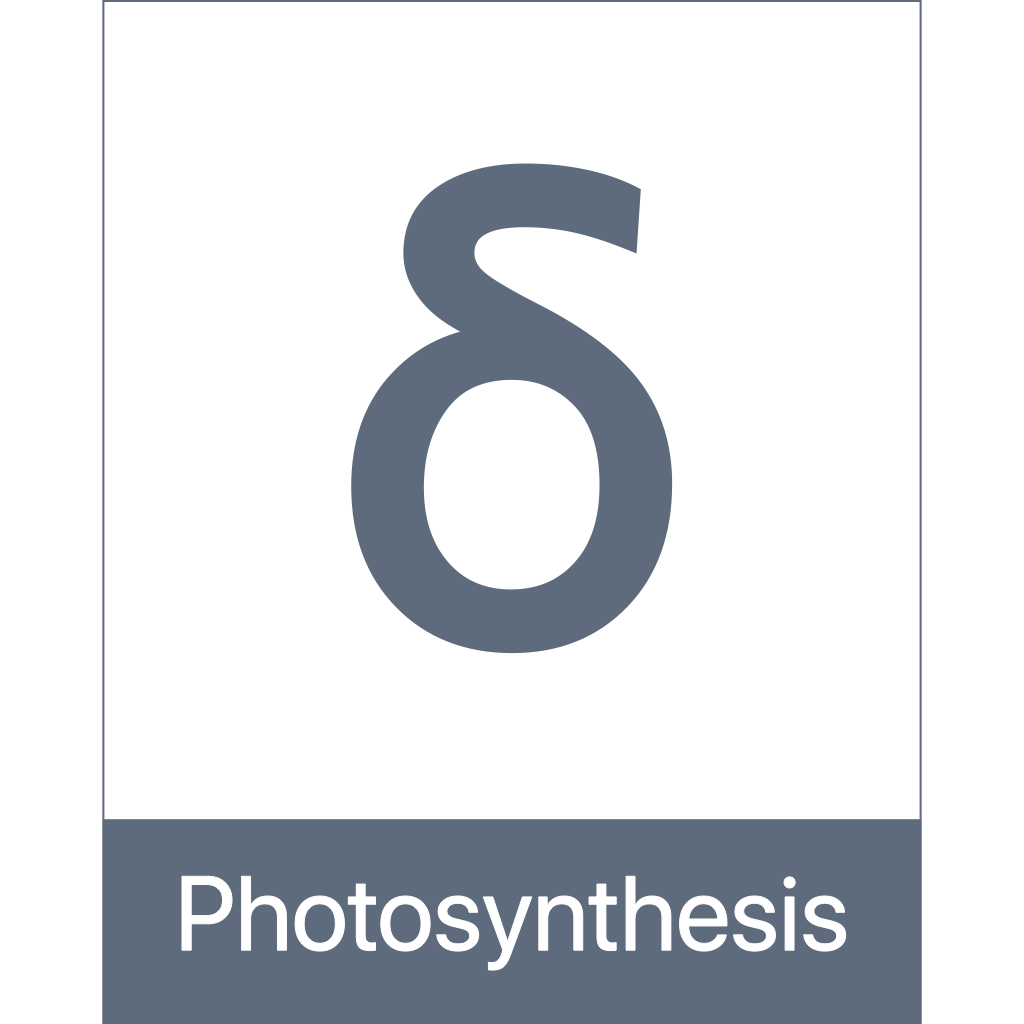 photosynthesis Document Icon